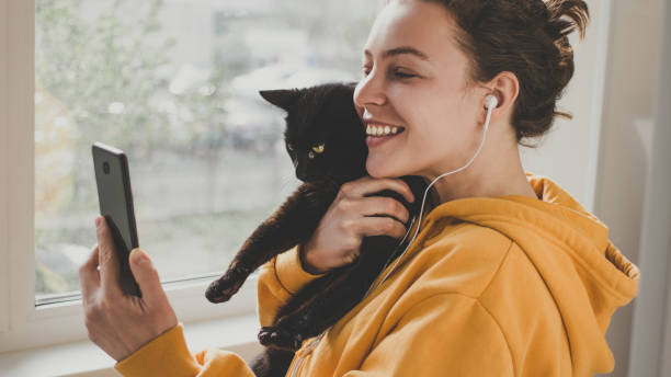 mujer joven alegre que usa auriculares sostiene gato mascota negro usando el teléfono inteligente para videollamada, gesturing hola a amigo o padre. chica caucásica con sudadera amarilla con capucha haciendo selfie, compartiendo datos en redes sociales - animal cell fotografías e imágenes de stock