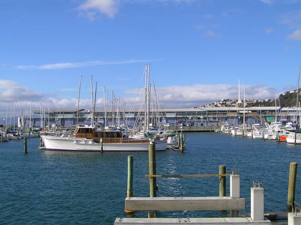 istock Wellington, New Zealand views 1226370689