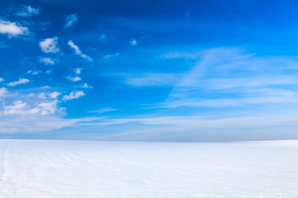 Winter landscape with bright snow and blue sky.