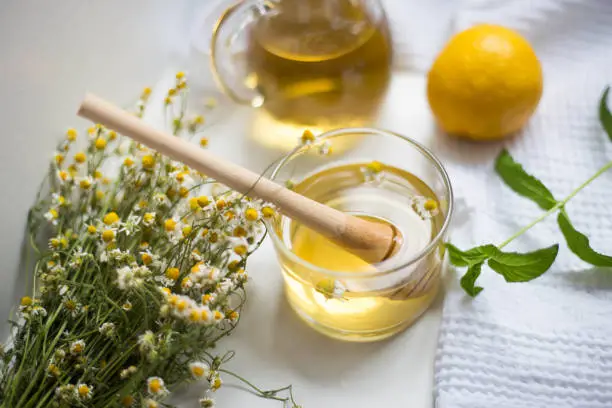 Transparent cup with chamomile tea and chamomile flowers