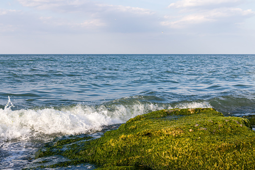 Big of natural breakwaters covered with algae. With blue sky and waves on background.