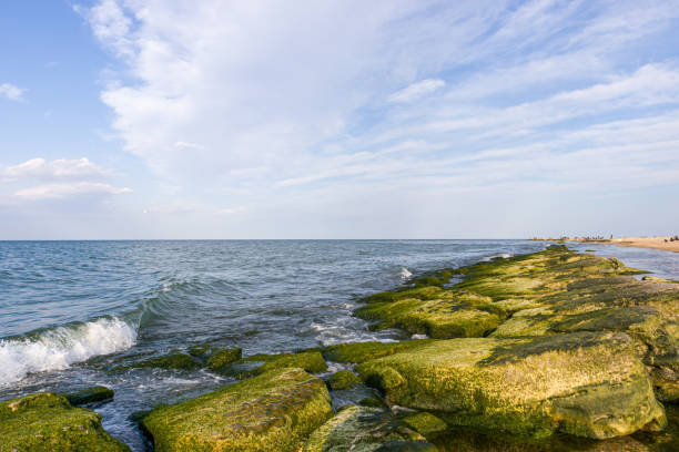Line of natural breakwaters covered with algae. With blue sky and waves on background.