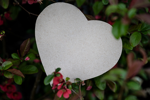 Paper heart on a background of leaves as a symbol of love for Mother's Day, Father's Day, Valentine's Day or other occasion