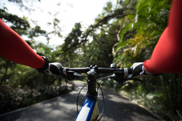 istock Bike ride on the forest trail 1226375798