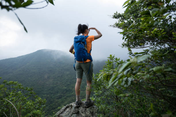 istock Successful hiker looking at the view on mountain top cliff edge 1226377873