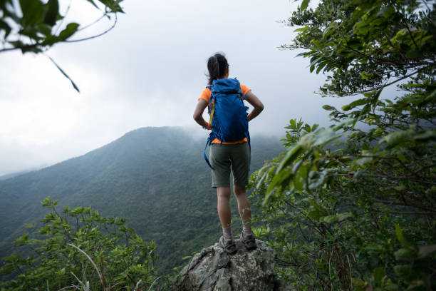 istock Successful hiker looking at the view on mountain top cliff edge 1226379056