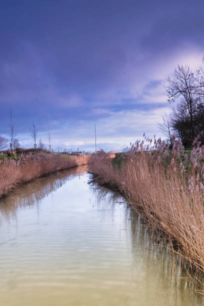 istock Landscape in the Netherlands with a river, grasses and a dramatic sky, reflection in the water. trees in the background. long exposure 1226379652