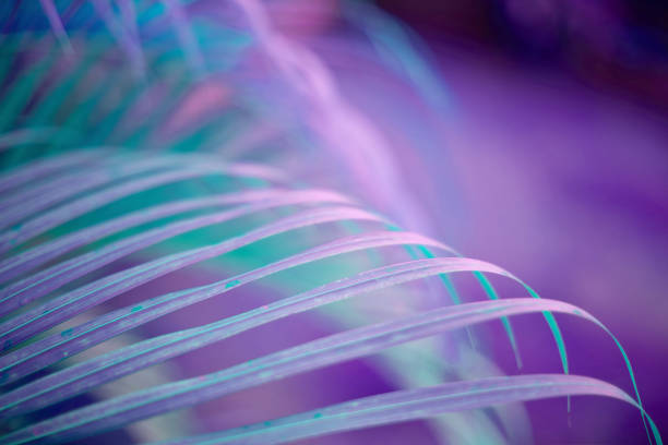 istock Neon colored palm tree leaves. Tropical trees background 1226380803