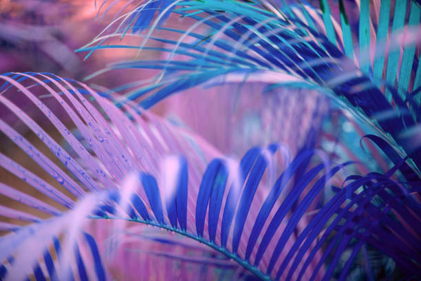 istock Neon colored palm tree leaves. Tropical trees background 1226380805