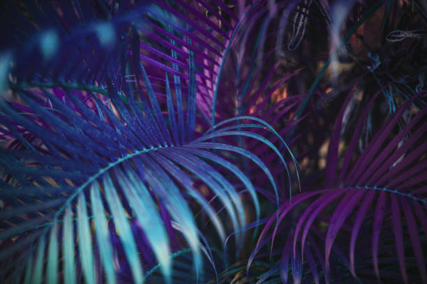 istock Neon colored palm tree leaves. Tropical trees background 1226380828