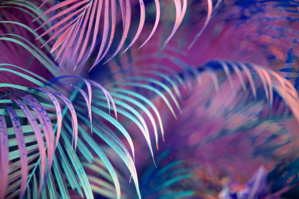 istock Neon colored palm tree leaves. Tropical trees background 1226380961