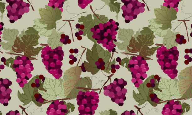 illustrazioni stock, clip art, cartoni animati e icone di tendenza di design del motivo senza cuciture in uva rossa. rami e foglie d'uva vettoriali disegnati a mano. illustrazione alla moda e moderna. concetto di vinificazione e bere vino. vendemmia in francia. - red grape