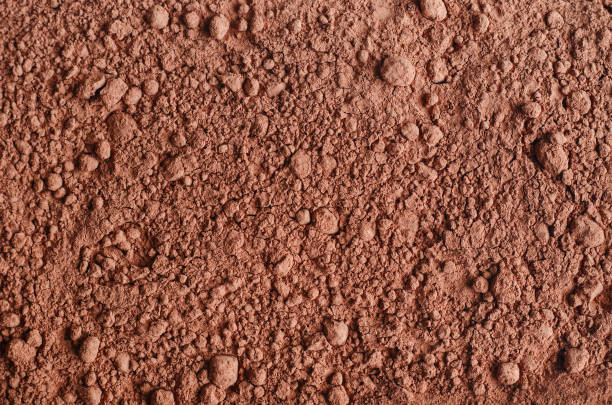 istock Dry cocoa powder background close up. Top view 1226388728