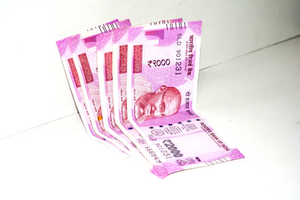 Indian paper currency notes or money on isolate white background. new Indian rupees