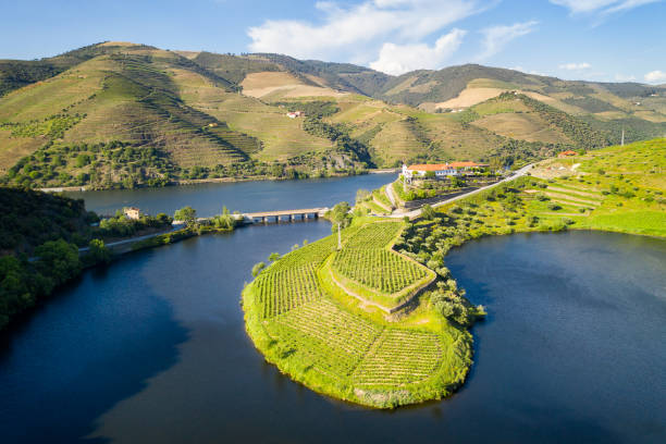 douro wine valley region drone aerial view of s shape bend river in quinta do tedo at sunset, in portugal - douro imagens e fotografias de stock