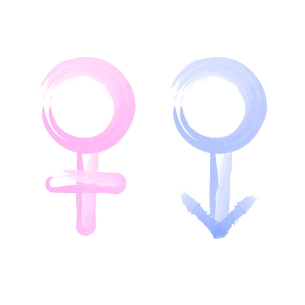 ilustrações de stock, clip art, desenhos animados e ícones de female and male sex icon. symbol of men and women. gender symbol pink and blue icon - bi sexual illustrations