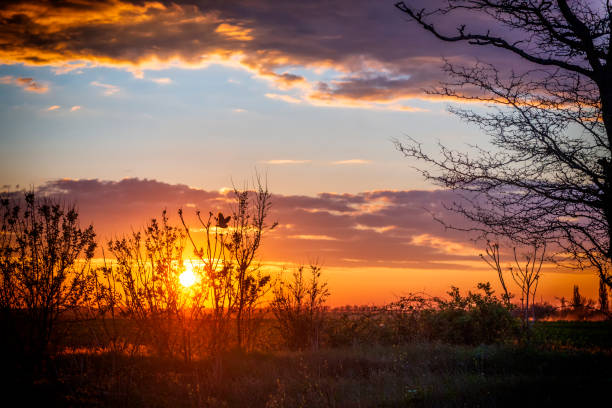 istock Magic sunset with flying owl. Wanderlust landscape 1226399344