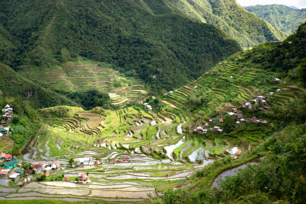 istock Rice terraces and Banaue village on Philippines 1226400287