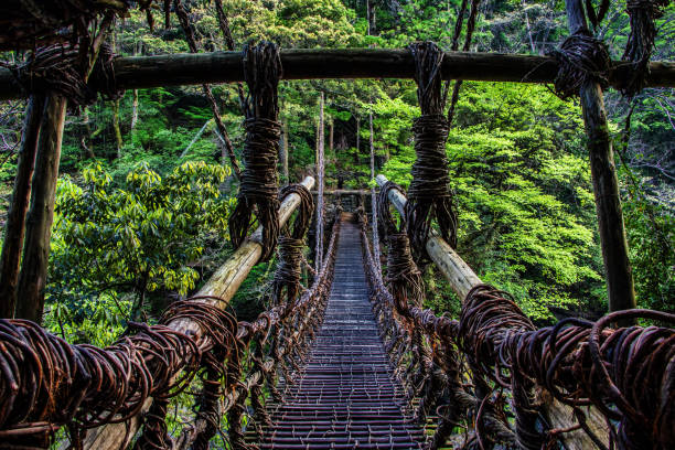 Kazura bashi : Ponte Kazura - foto de acervo