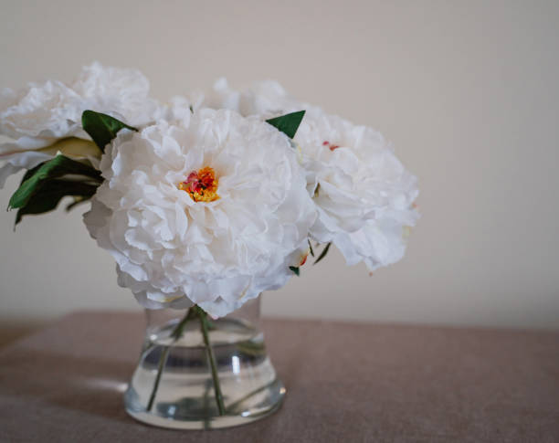 istock White peonies in a glass vase on a table on a gray background 1226403483