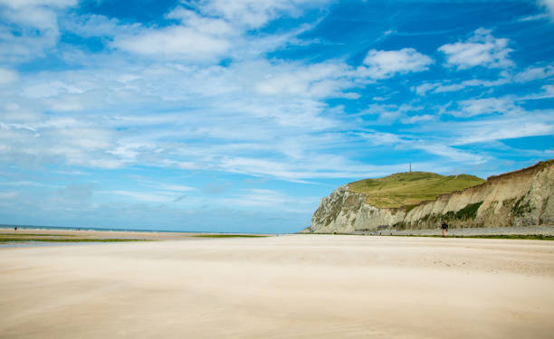 istock Green cliff along a white sand beach 1226404550