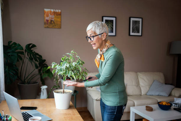 istock Mature woman working indoors at home 1226406247