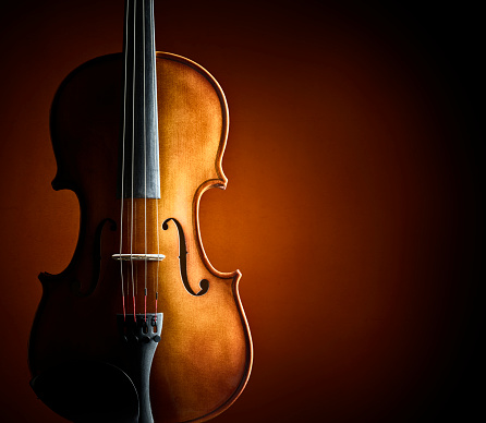 Close-up of Classical Cello