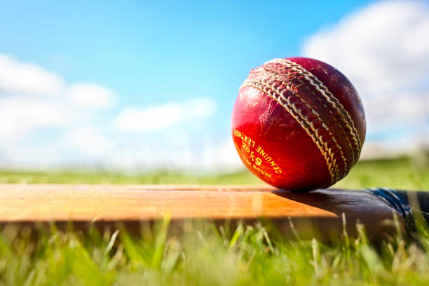 Cricket bat and red leather ball background Cricket ball resting on a cricket bat on green grass of cricket pitch batsman photos stock pictures, royalty-free photos & images