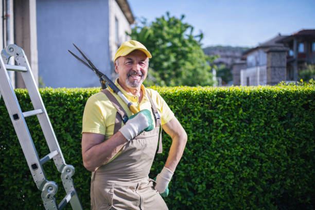 Portrait Of Confident Professional Gardener.