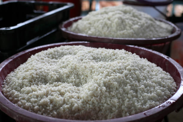 istock Typical Asian Food - 'Lemang' (Glutinous Rice Steamed with Banana Leaf Inside Bamboo) in Making 1226412609