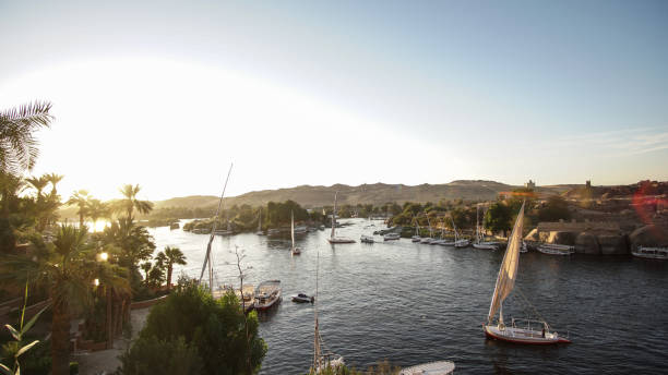 istock Nile river bank landscape view at sunset Aswan Egypt leisure scenic activity 1226413232