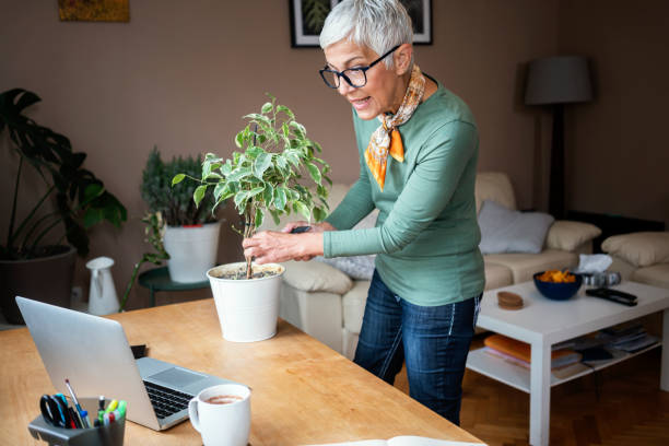 istock Mature woman working indoors at home 1226413807
