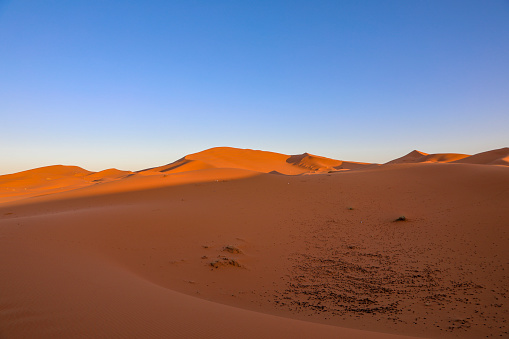 The Sahara the largest arid desert in the world, stars in Moroccowith a mixture of sand and rock.