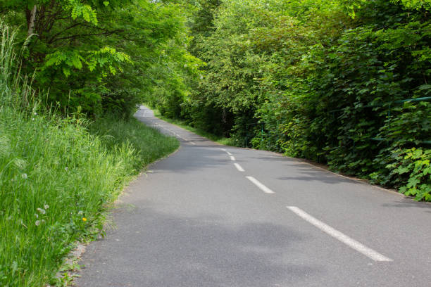 istock Curve bycicle road surrounded by trees. Copy space 1226417030