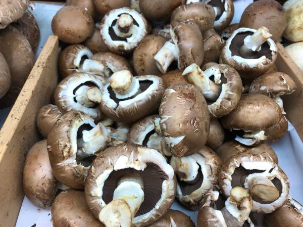 istock A group of mushroom inside the supermarket 1226417498