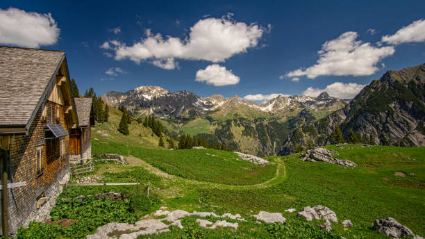 alpe nahe der wangspitze - bergwiese stock-fotos und bilder