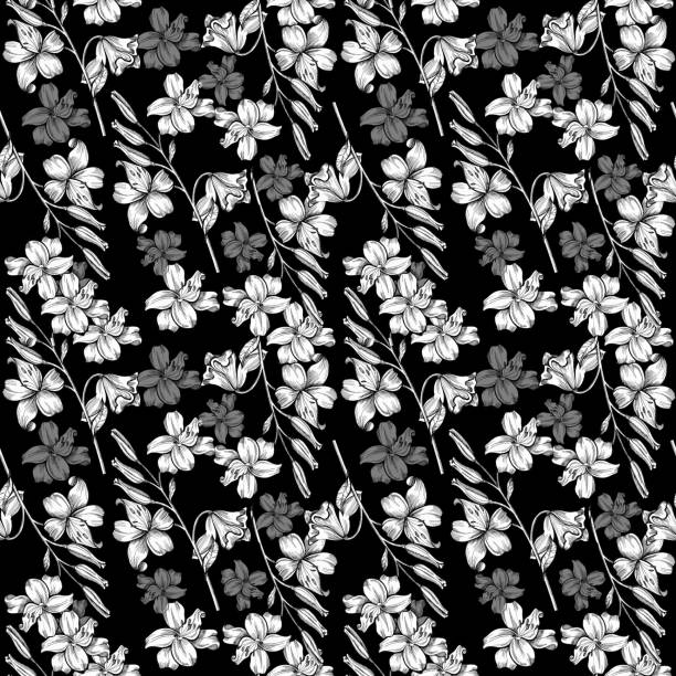 lilie muster schwarz hintergrund - summer flower head macro backgrounds stock-grafiken, -clipart, -cartoons und -symbole