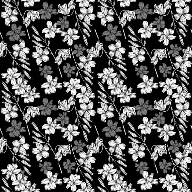ilustraciones, imágenes clip art, dibujos animados e iconos de stock de patrón de lirio fondo negro - summer flower head macro backgrounds