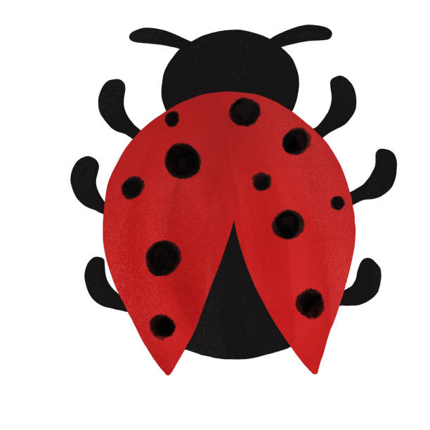 istock ladybird illustration isolated on white. Insect. Summer. Postcard, mug, kids, stationery design 1226421772