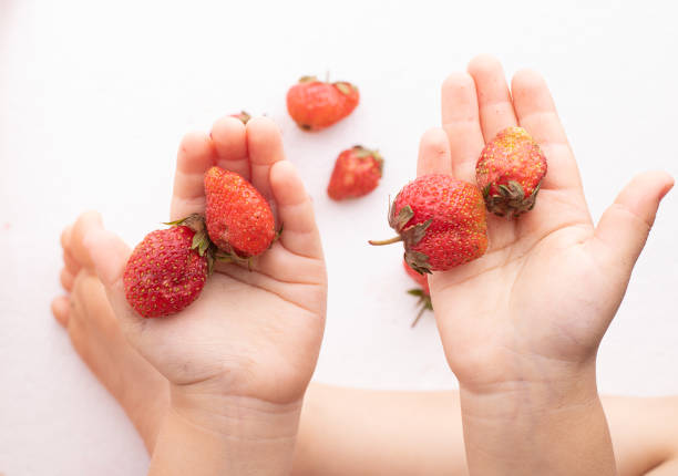 istock Kids holding strawberries in palms, view above 1226421778