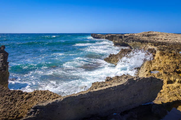 istock Capo San Marco, Sardinia, Italy 1226424584