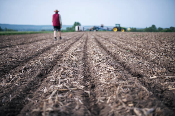istock Farmer Controlled No-Till Sowing On Agriculture Field. 1226424737