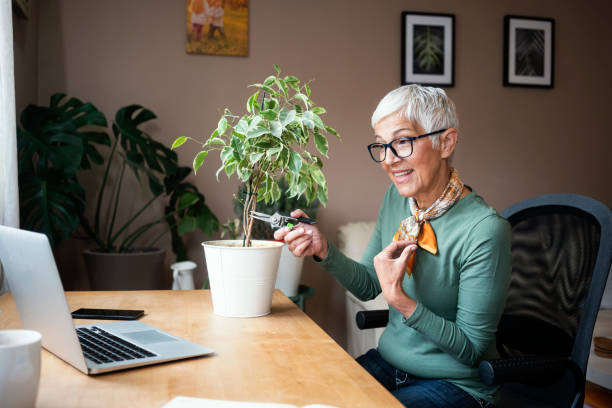istock Mature woman working indoors at home 1226424745