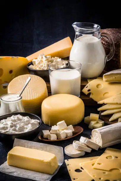 Front view of various kinds of dairy products like a milk jug, yogurt, butter and different types of cheese like Emmental cheese, cottage cheese, manchego cheese, parmesan cheese, brie cheese, cured and semi-cured cheeses on a bluish tint background.  Predominant colors are blue, white and yellow. Low key DSLR photo taken with Canon EOS 6D Mark II and Canon EF 24-105 mm f/4L