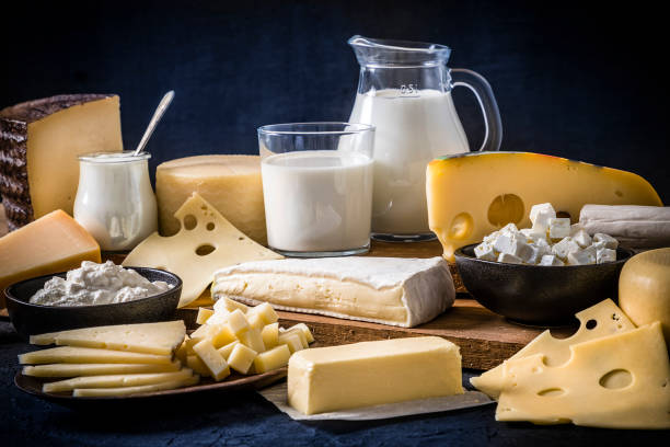 istock Various kinds of dairy products on a dark bluish background 1226425136