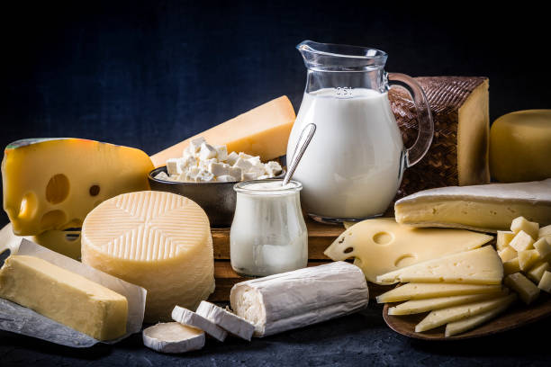 istock Various kinds of dairy products on a dark bluish background 1226425141