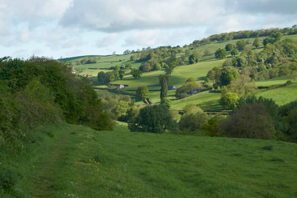istock Woolley Valley in the Cotswolds 1226427250