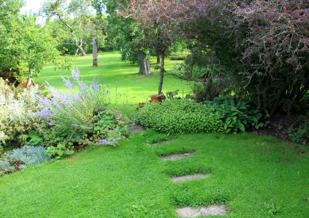 istock English country garden 1226429295
