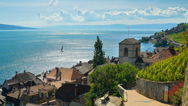 istock View from Saint Saphorin in Lavaux, Switzerland, 20.05.20 1226430050