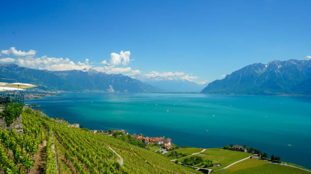 istock Viewpoint from the vineyards in Lavaux, Switzerland, 20 May 2020. 1226430110
